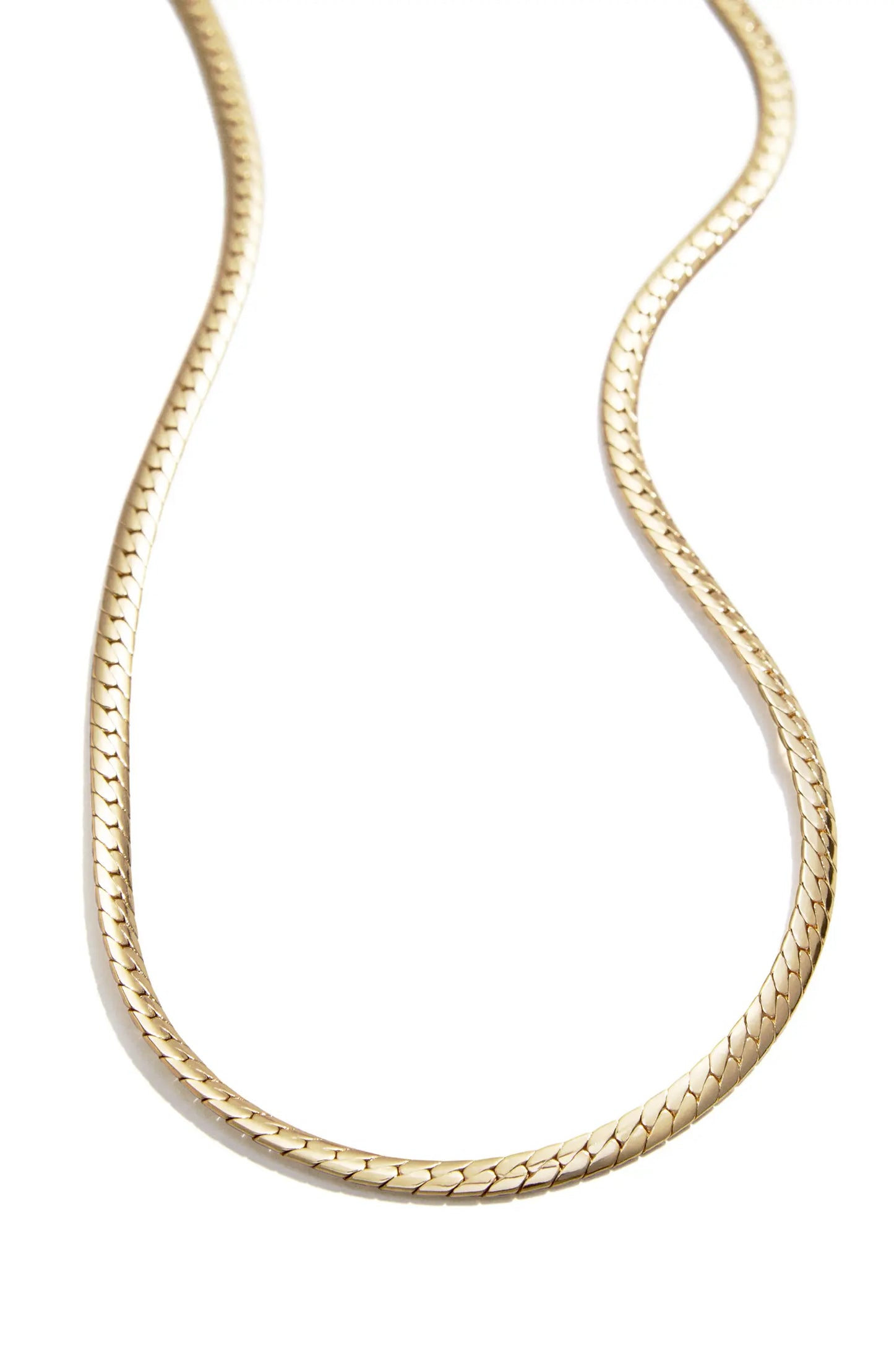 BaubleBar Women's Gold Snake Chain Necklace|BaubleBar Scott In Lebanon