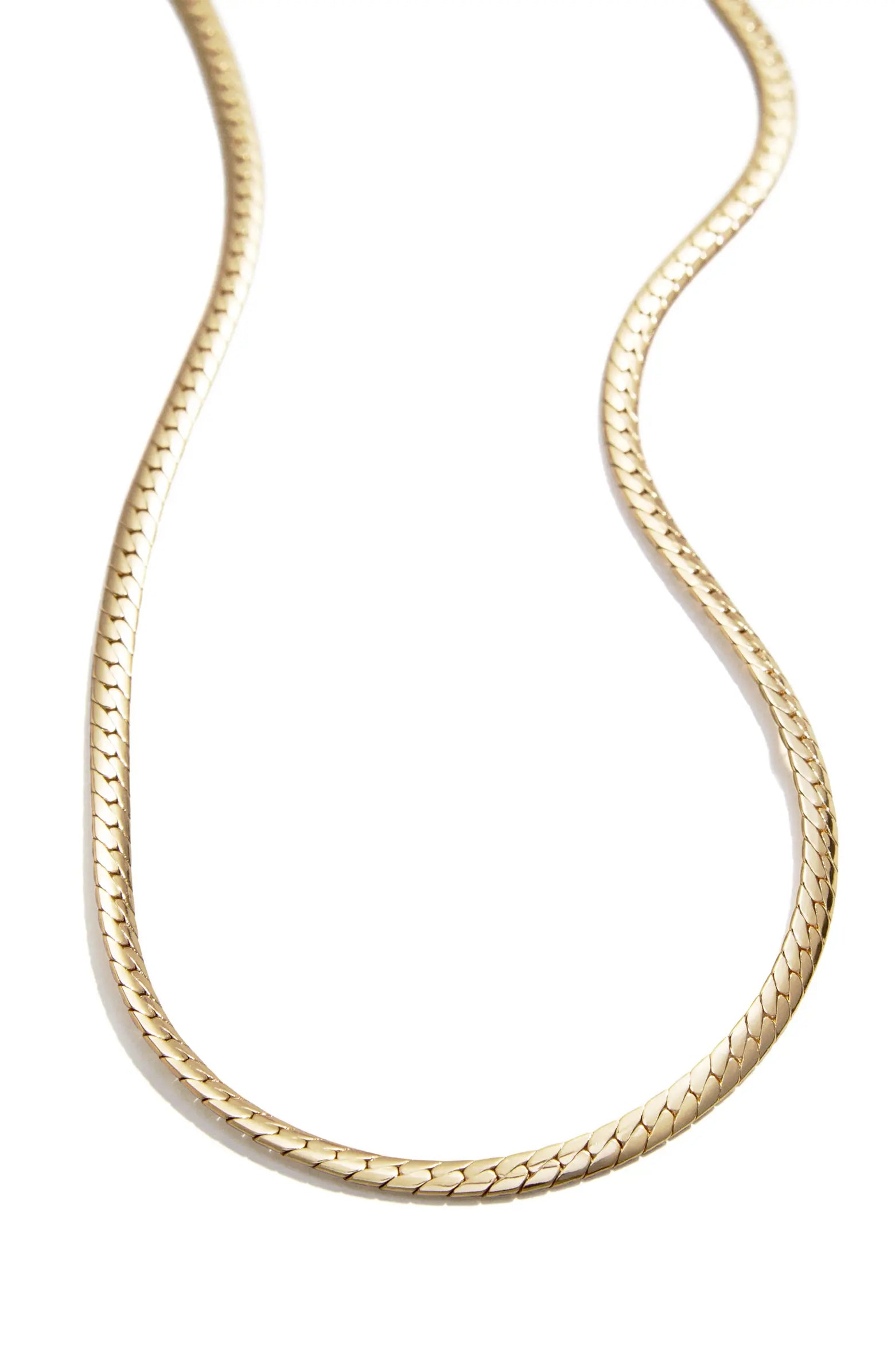 BaubleBar Women's Gold Snake Chain Necklace|BaubleBar Scott In Lebanon