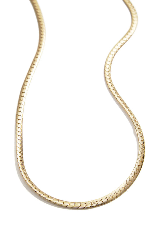 BaubleBar Women's Gold Snake Chain Necklace|BaubleBar Scott In Lebanon