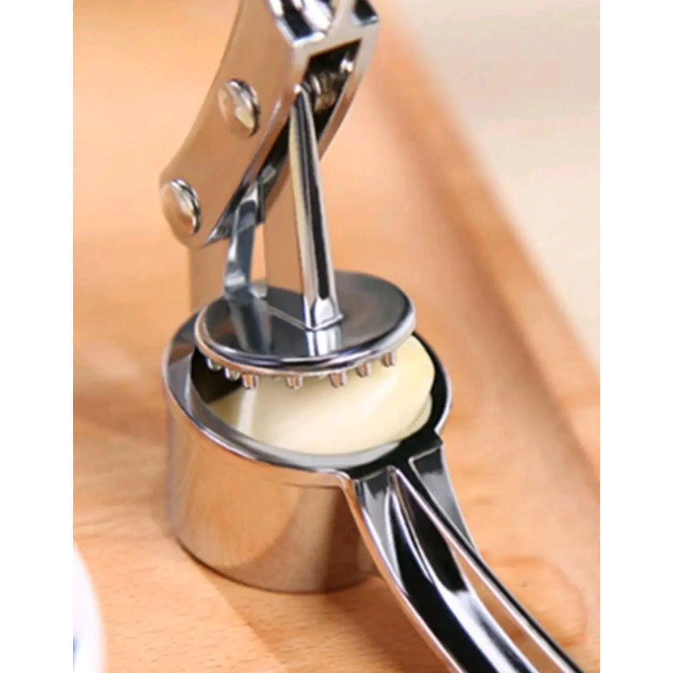 Stainless Steel Garlic Press, Modernist Multifunctional Garlic Mincer