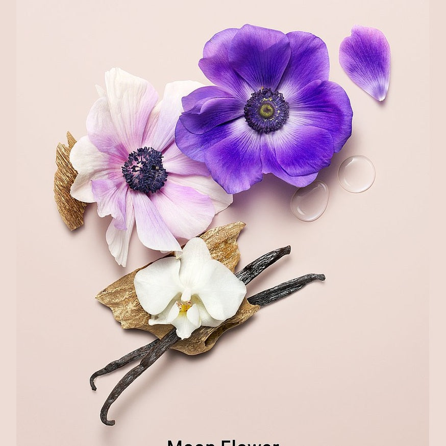VICTORIA SECRET BODY LOTION MIDNIGHT BLOOM