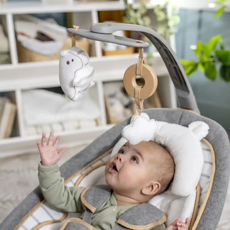 Ingenuity Rocking Seat - Bella Teddy