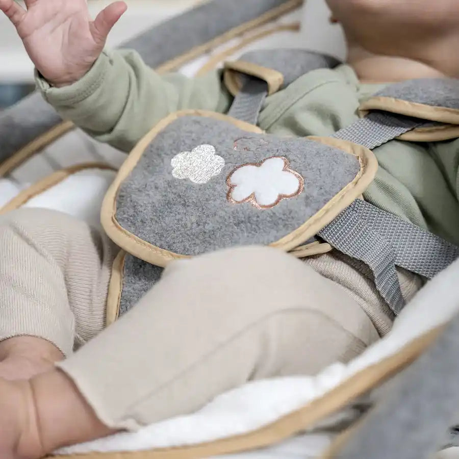 Ingenuity Rocking Seat - Bella Teddy
