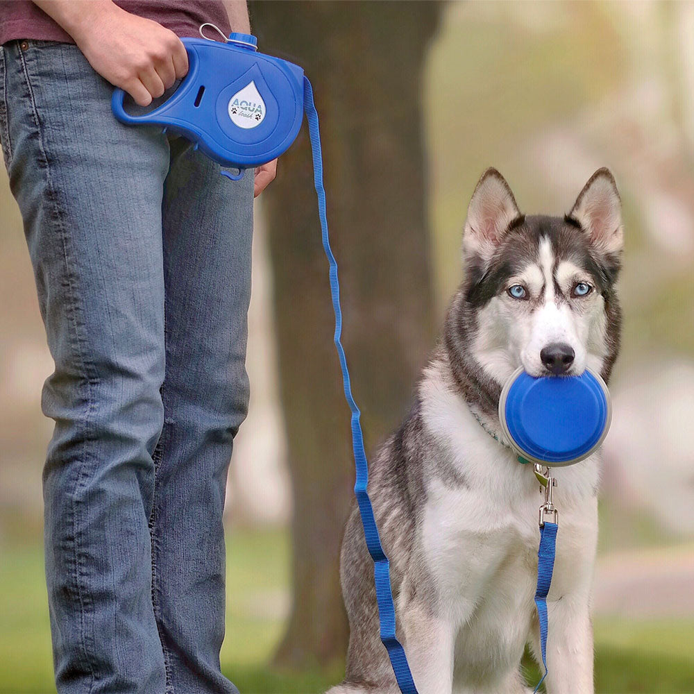 Aqua Leash, 5 In 1 Pet Essentials