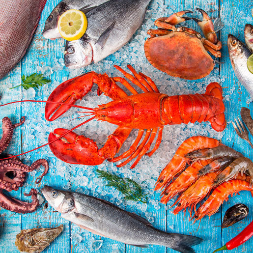 Duni Tissue Napkin 33 x 33 cm Seafood 3-ply|Duni In Lebanon