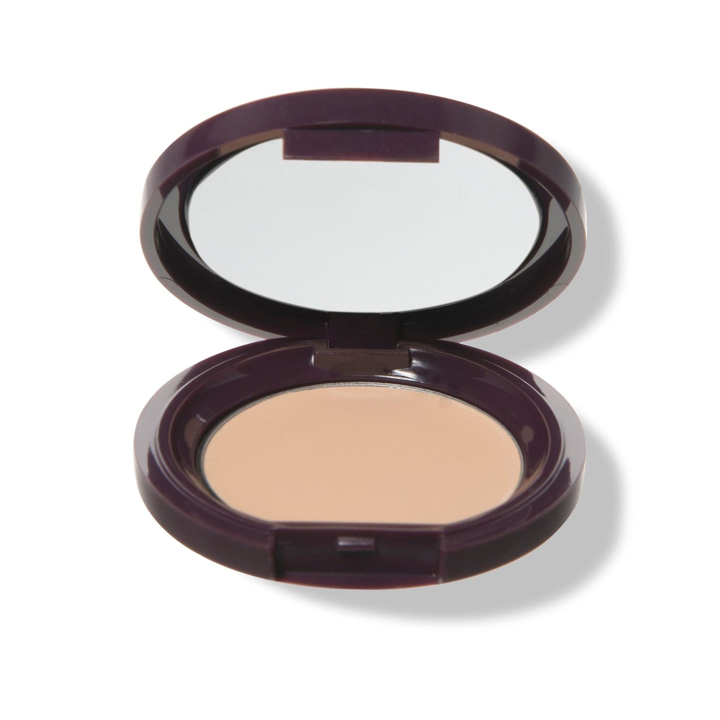 Fruit Pigmented® Long Last Concealer with Super Fruits - Medaid International