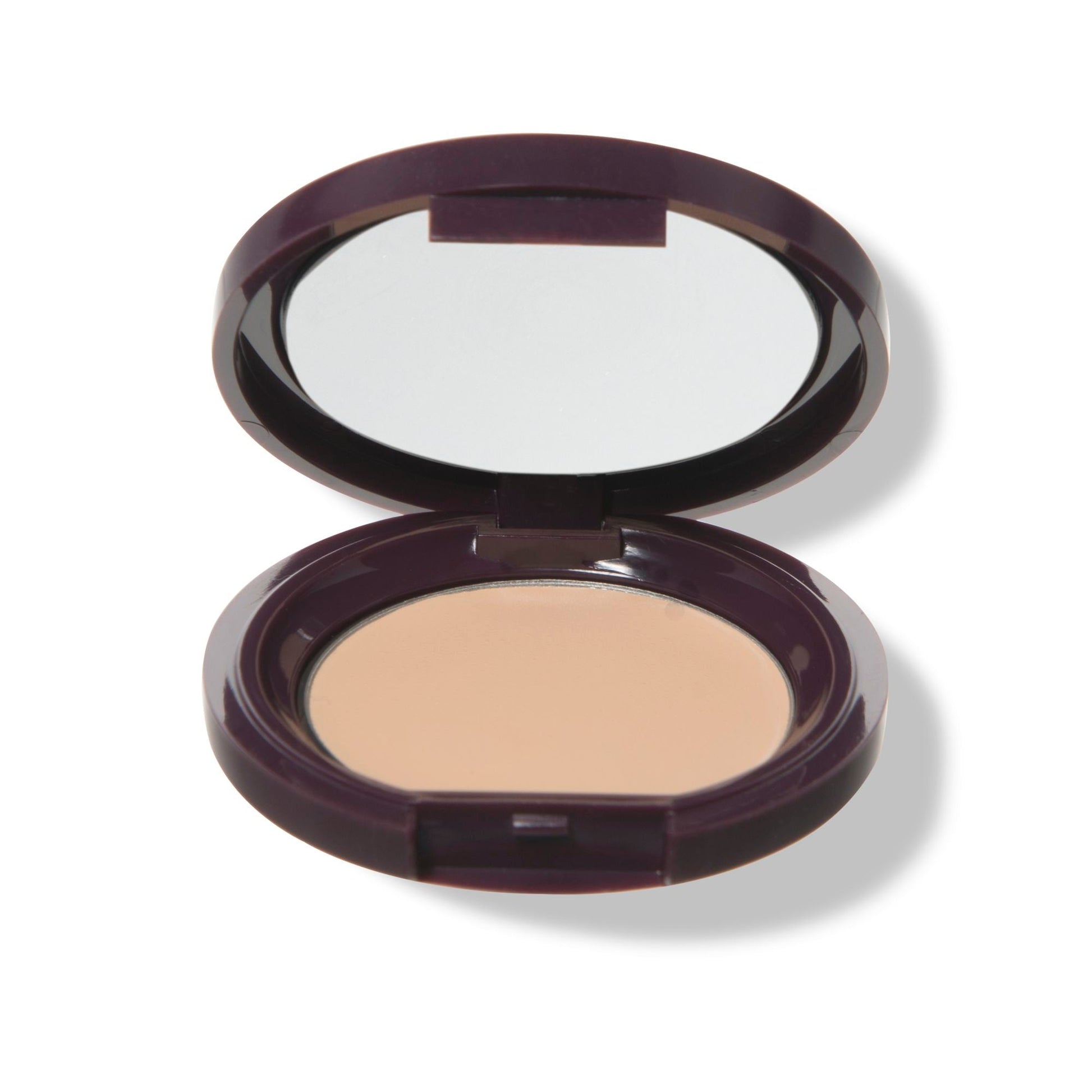 Fruit Pigmented® Long Last Concealer with Super Fruits - Medaid International
