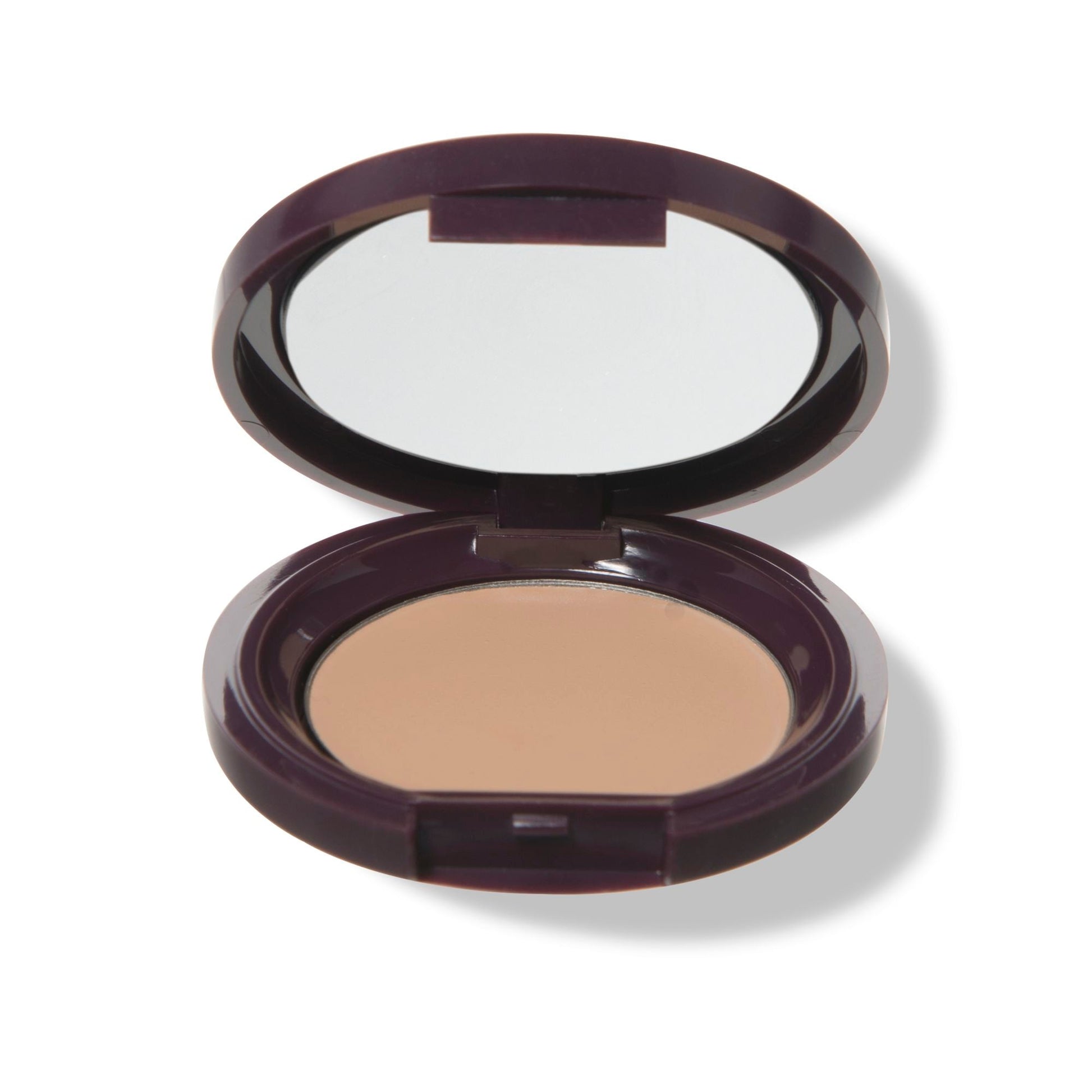 Fruit Pigmented® Long Last Concealer with Super Fruits - Medaid International