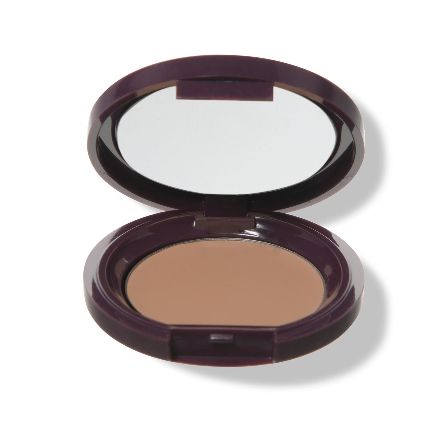 Fruit Pigmented® Long Last Concealer with Super Fruits - Medaid International