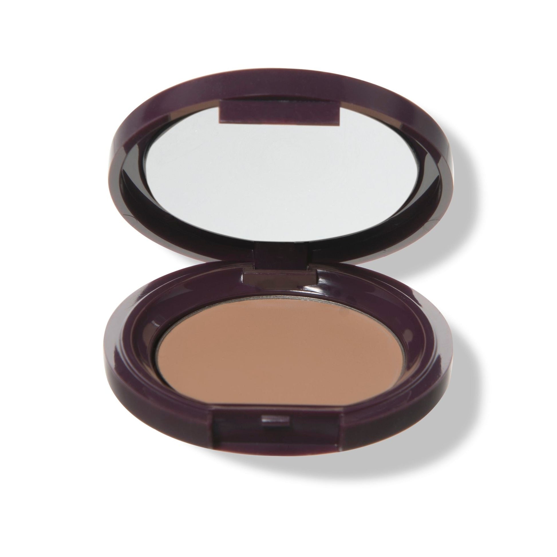 Fruit Pigmented® Long Last Concealer with Super Fruits - Medaid International
