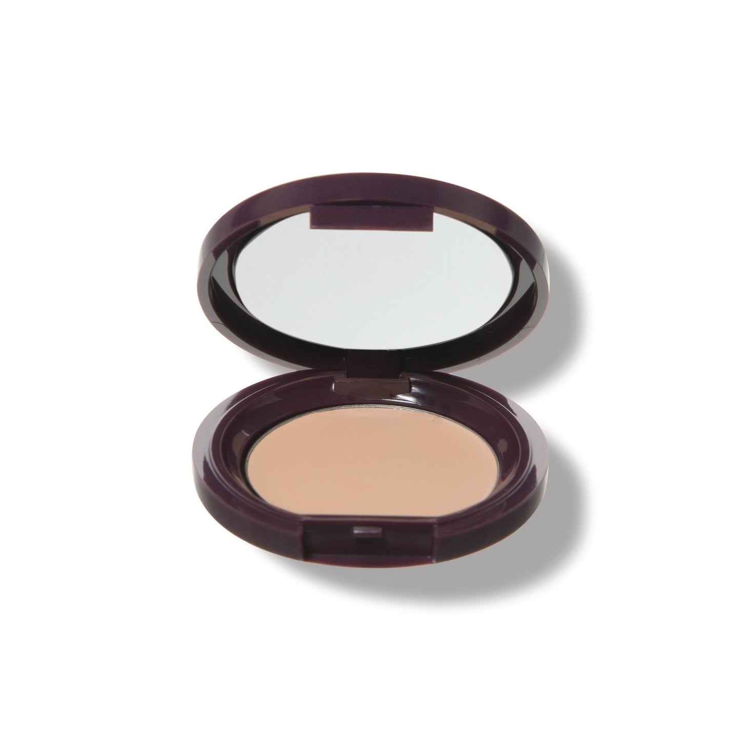 Fruit Pigmented® Long Last Concealer with Super Fruits - Medaid International