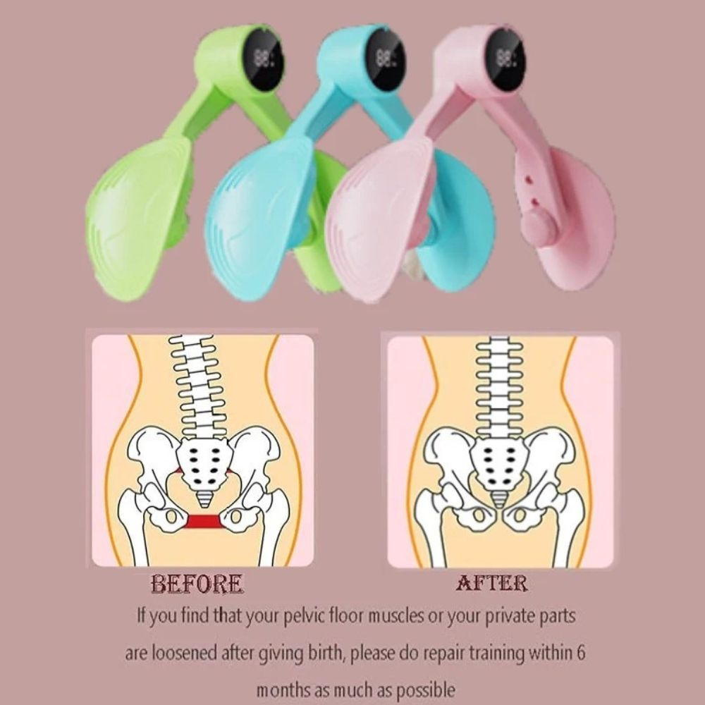 Professional Pelvic Floor Trainers with Counter