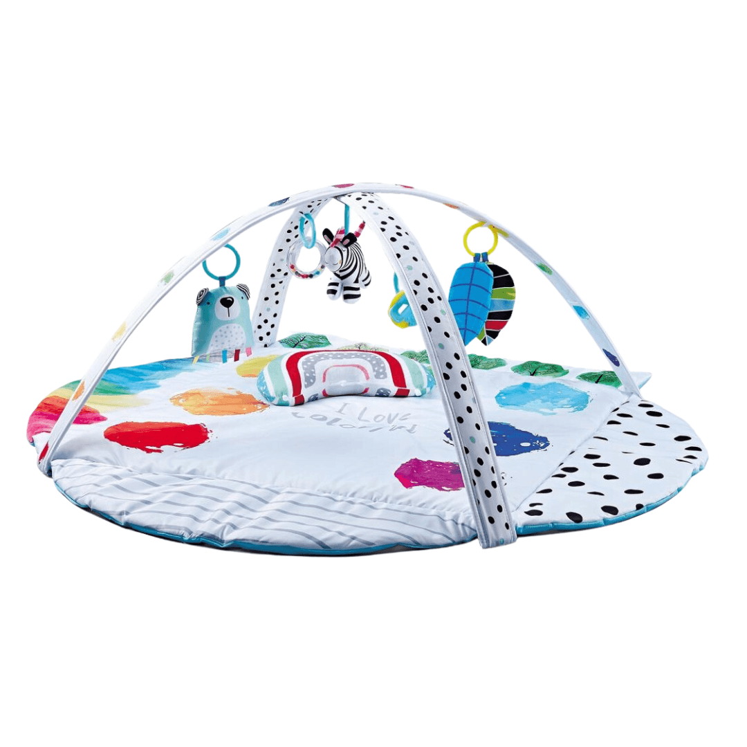 2-in-1 Soft Baby Gym Mat , Plush Newborn Playmat