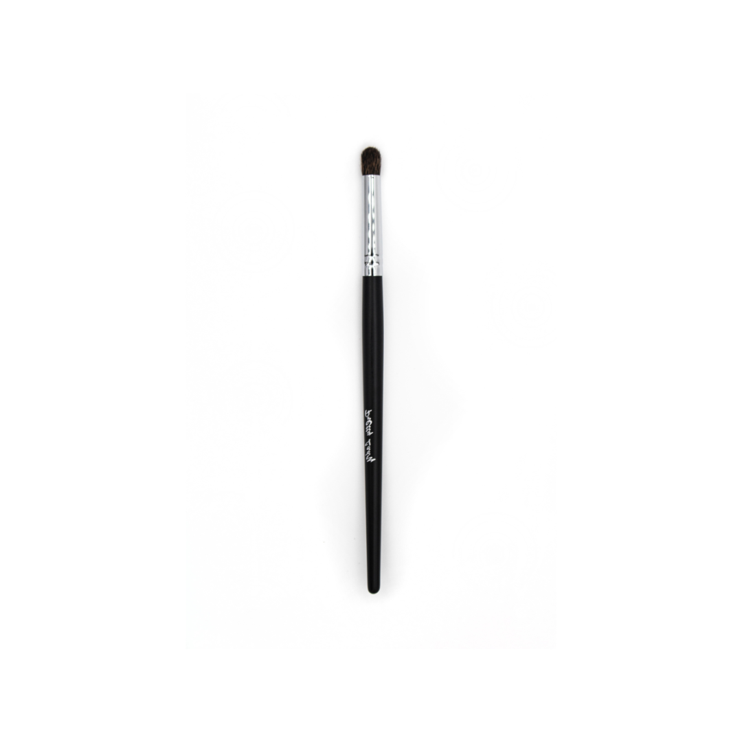Pretty Lady Above The Eyeindividual Cosmetic Brush