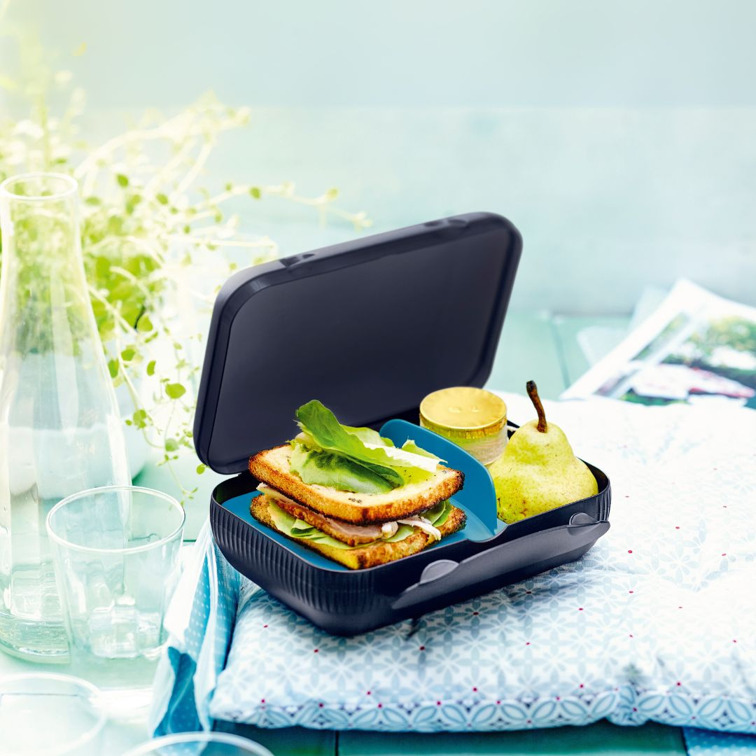 Tupperware Eco+ Lunch Box Artc Night