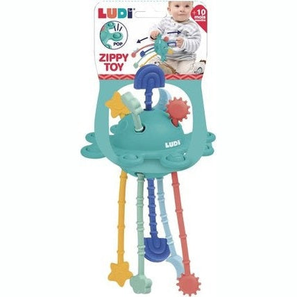 Zippy Activity