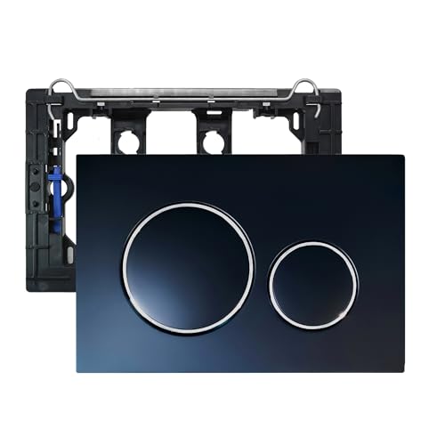 Lychee Light - Flushing Plate with Dual Flush, Fits Geberit Sigma 20, Black & Silver