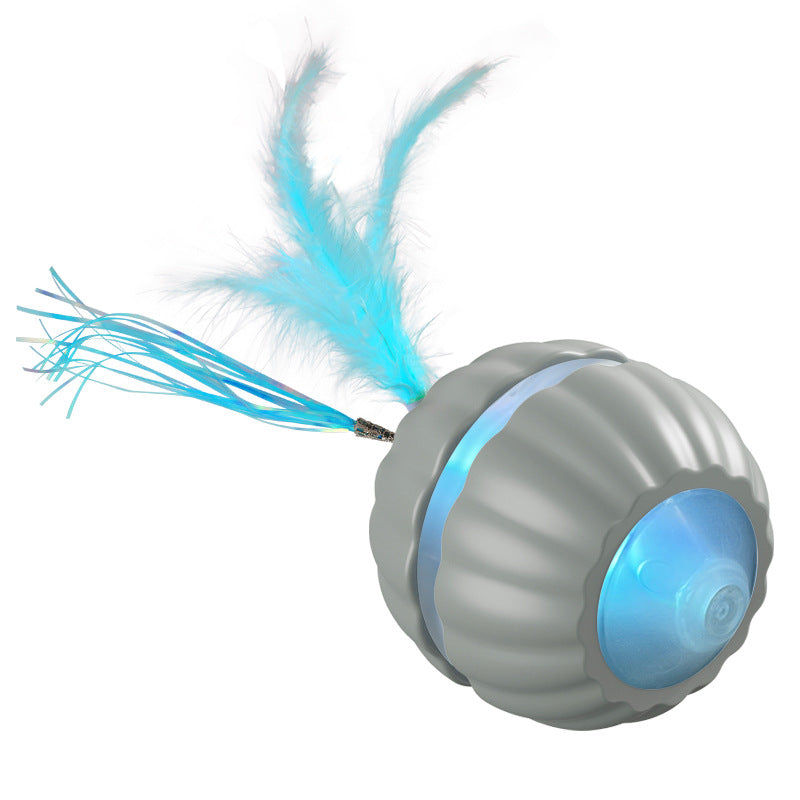 Interactive Dog/Cat Toy Ball USB Rechargeable Automatic Moving Rolling DP168 Mix Color