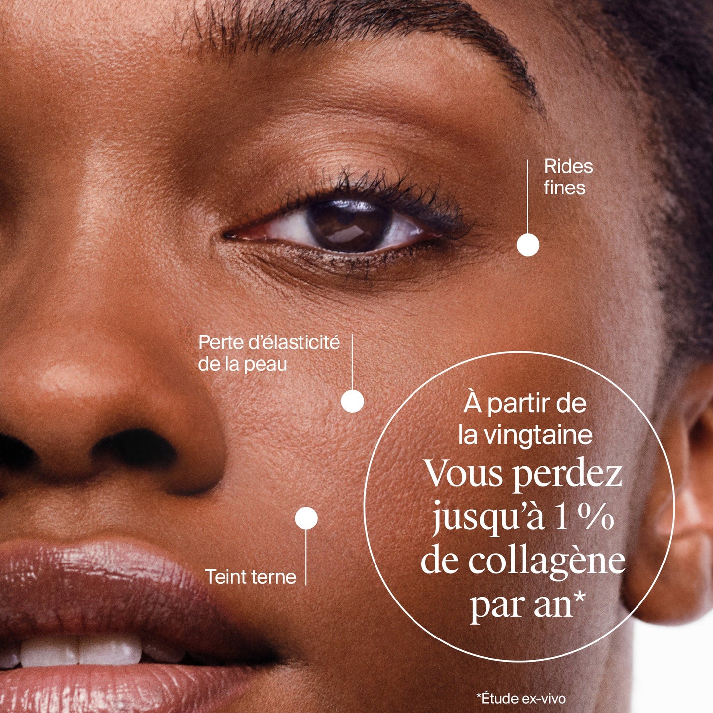 Neutrogena Collagen Bank Moisturiser Night Cream