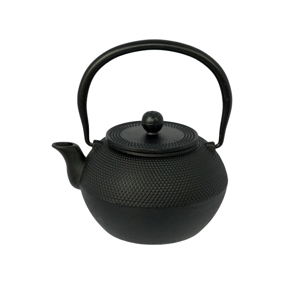 Dimono cast iron teapot