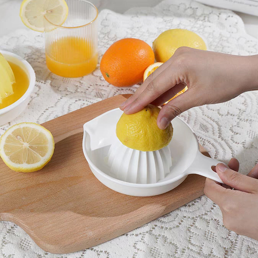 Citrus Juicer With Handle