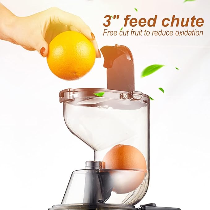 Slow Juicer
