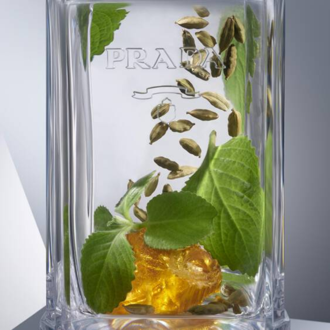Prada Perfume LHomme Intense Eau De Parfum