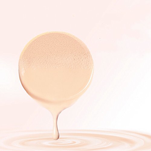 OWLFAVO 2pcs Round Makeup Sponges with 1 Travel Case, Beauty Face Primer Compact Powder Puff, Blender Sponge Replacement for Cosmetic Flawless Foundation, Sensitive and All Skin Types - Medaid International