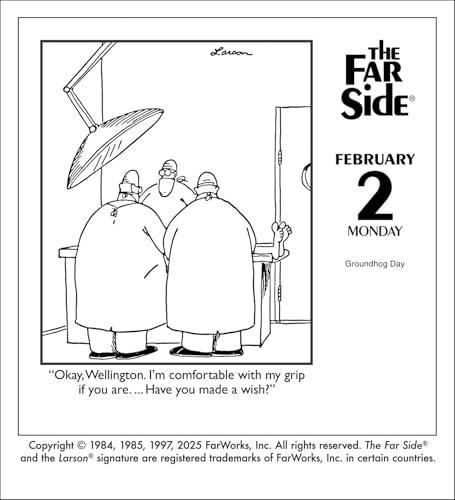 The Far Side® 2026 Off-The-Wall Day-to-Day Calendar - Medaid International