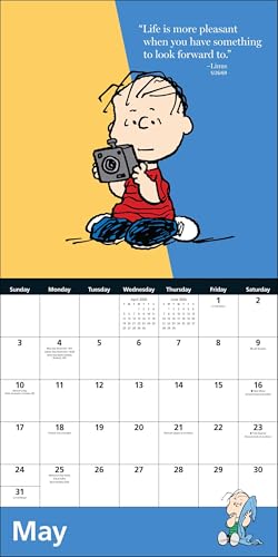 Peanuts® 2026 Wall Calendar - Medaid International