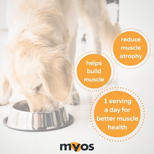 MYOS Canine Muscle Formula - All-Natural Muscle Building Supplement - Helps Reduce Muscle Loss in Dogs Due to Normal Aging and Improves Recovery from Injury or Surgery - Medaid International