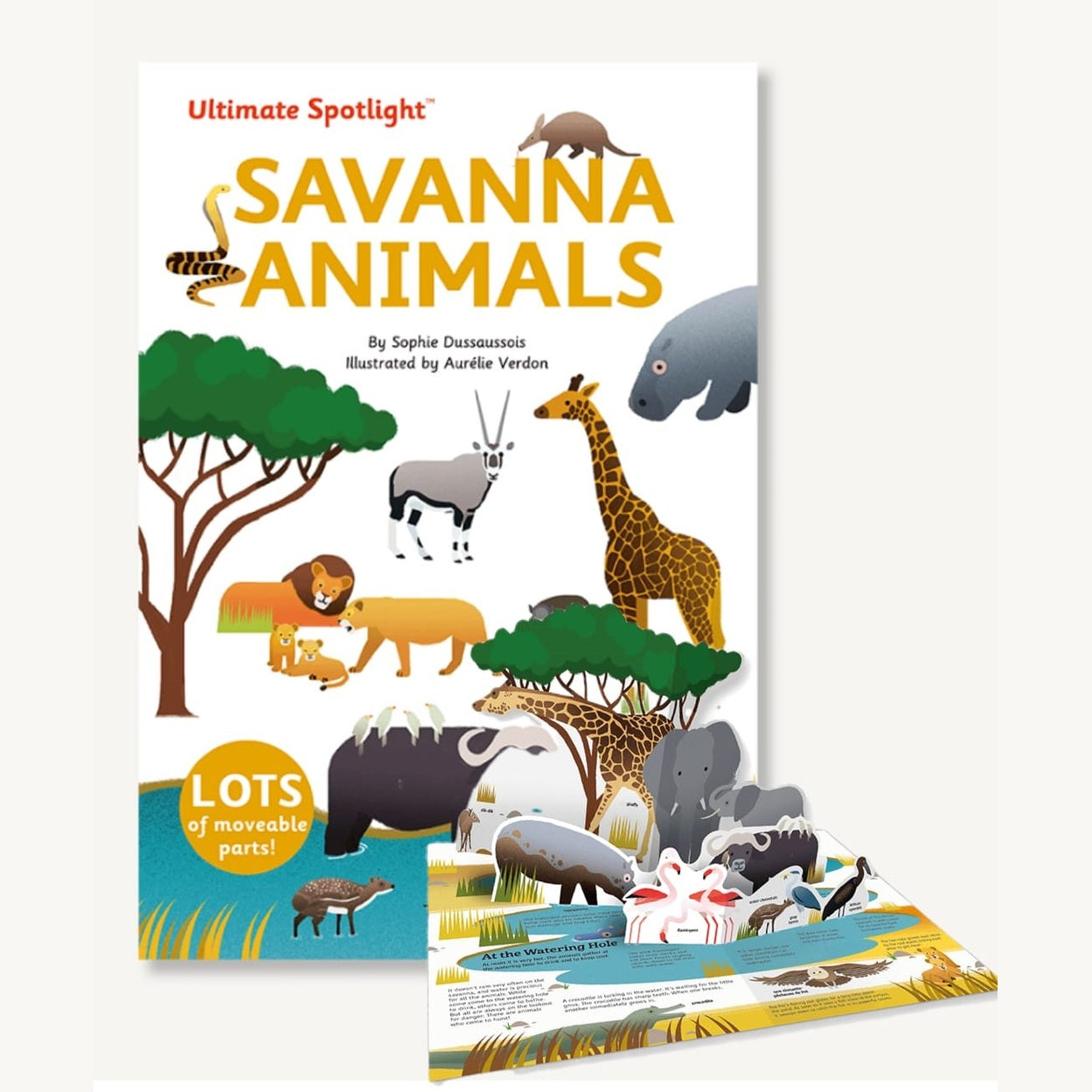 Tumama Kids - Ultimate Spotlight : Savanna Animals Book