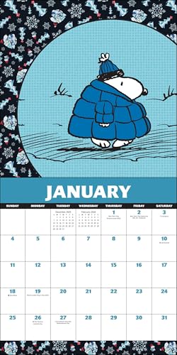 Peanuts®: Snoopy 2026 Wall Calendar - Medaid International