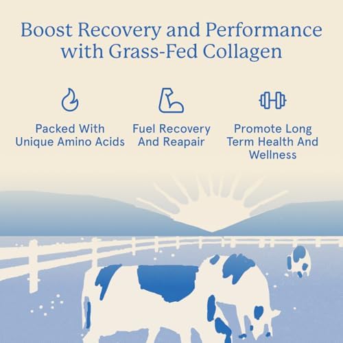 Equip Foods Grass Fed Collagen Powder | Hydrolyzed Bovine Collagen Peptides with Amino Acids | Prime Beef Collagen for Healthy Joints, Skin & Nails | Non-GMO, Paleo Friendly | 30 Servings, Unflavored|B071SH212S