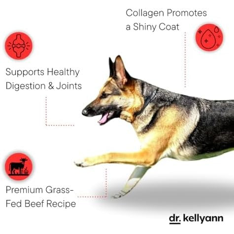 Dr. Kellyann Bone Broth Meal Topper for Dogs | Grass-Fed Beef Recipe | 3g Collagen | Supports Healthy Digestion & Joints | Shiny Coat | Grain Free | 6.60 oz|B0F7LR85S8