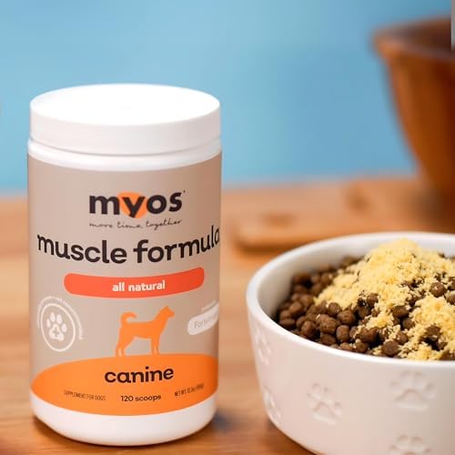 MYOS Canine Muscle Formula - All-Natural Muscle Building Supplement - Helps Reduce Muscle Loss in Dogs Due to Normal Aging and Improves Recovery from Injury or Surgery - Medaid International