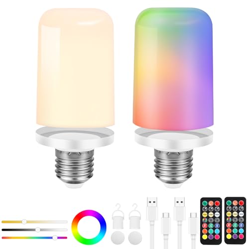 Birnetek - E27 LED Bulb 6W USB-C Rechargeable, Remote & Touch Control, Dimmable with Timer, Emergency Light, 2-Pack