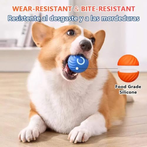 Petgravity - Interactive Motion Activated Dog Ball, Durable & USB Rechargeable