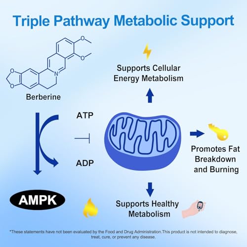 Premium Berberine Supplement Supports AMPK Metabolic, Liposomal Berberine with Ceylon Cinnamon - Classic 600mg Formula for Healthy Metabolism & Weigh*t - 3X Absorption - Vegan, Non-GMO, 120 Count - Medaid International