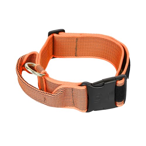 Julius K-9 - Adjustable Dog Harness, 40mm & 50mm Widths, Blue Color