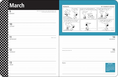 Peanuts® 12-Month 2026 Monthly/Weekly Planner Calendar - Medaid International