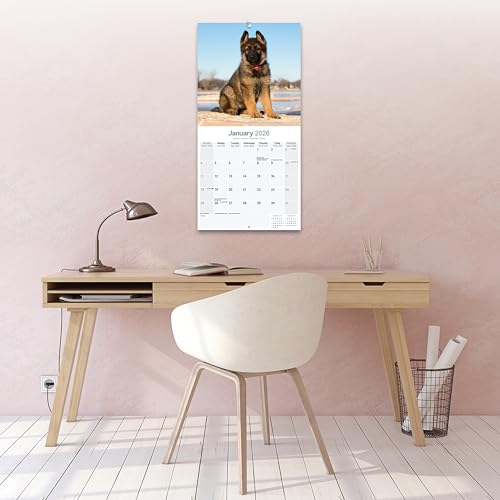 German Shepherd Puppies 2026 Calendar | Square Wall Calendar | Dog Breed Gift | Plastic Free Packaging | by Avonside Publishing - Medaid International