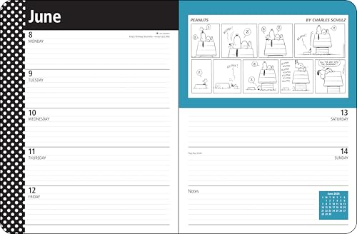 Peanuts® 12-Month 2026 Monthly/Weekly Planner Calendar - Medaid International