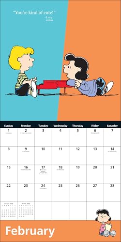 Peanuts® 2026 Wall Calendar - Medaid International