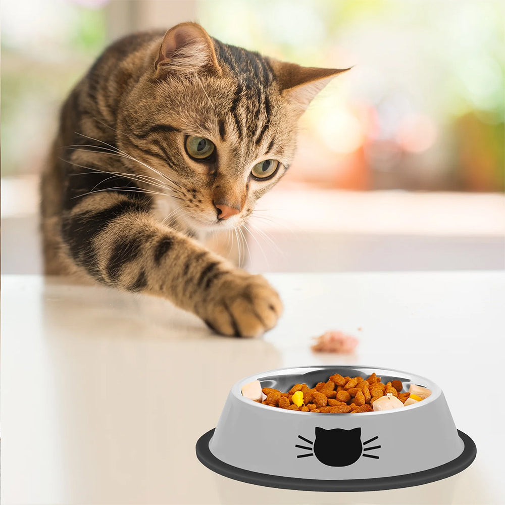 22cm Non-Slip Stainless Steel Cat Bowls