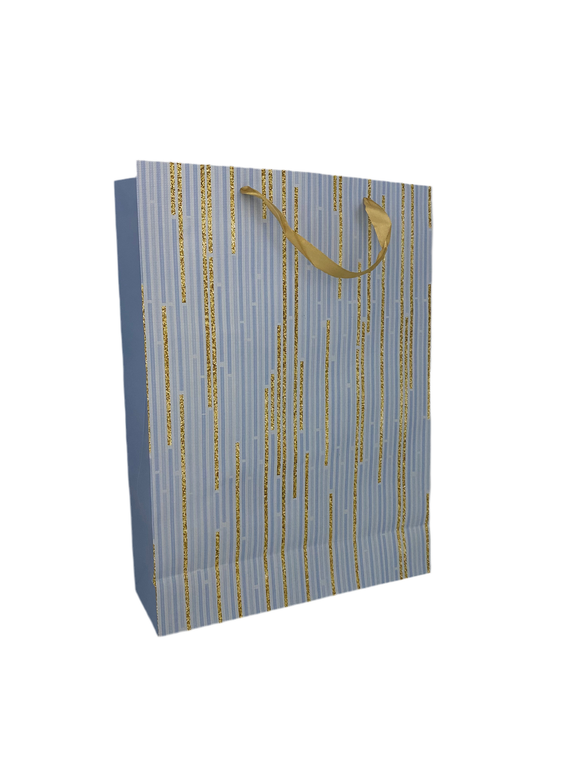 Paper Gift Bag