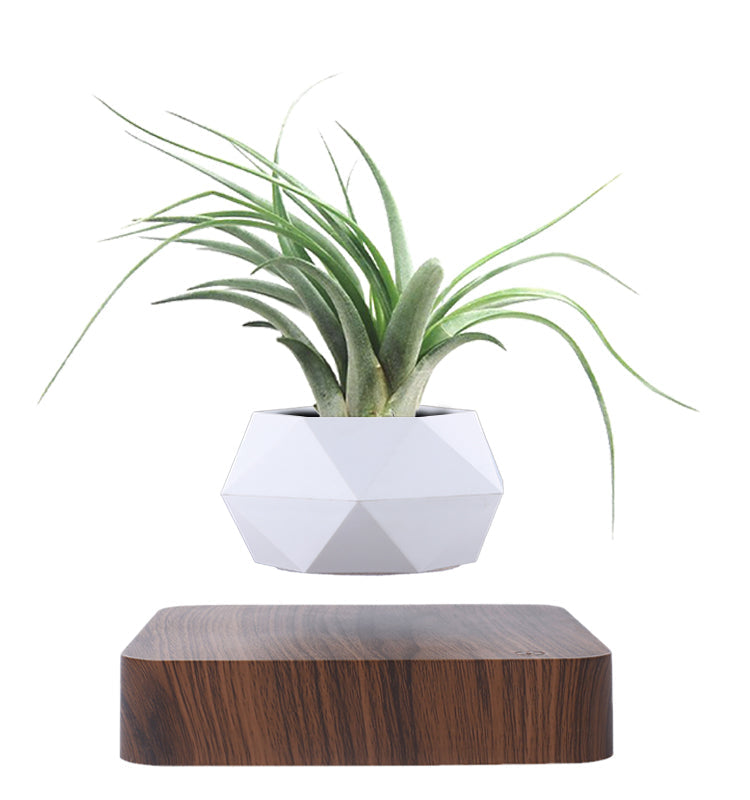 Floating Flower Pot