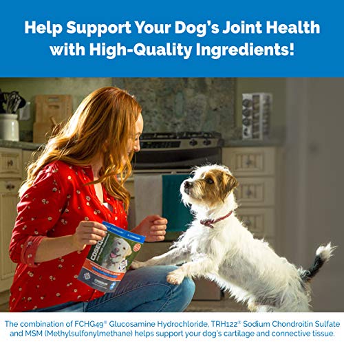 Nutramax Cosequin for Dogs Joint Health Supplement, Contains Glucosamine for Dogs, Plus Chondroitin, Supports Healthy Joints, Chewable Tablets, 250 Count