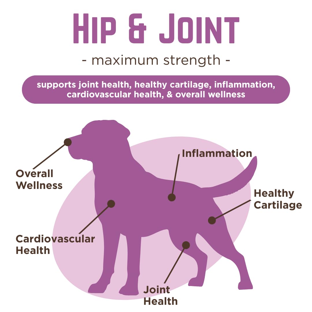 Dr. Joseph's VetPro Complete Dog Hip & Joint Supplement for Arthritis Pain Relief – High-Strength Glucosamine & Chondroitin Chews for Senior Dogs – Vet Formulated Daily Treats, Chicken Flavor, 120 Ct