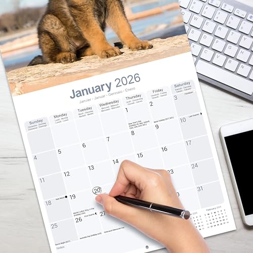 German Shepherd Puppies 2026 Calendar | Square Wall Calendar | Dog Breed Gift | Plastic Free Packaging | by Avonside Publishing - Medaid International